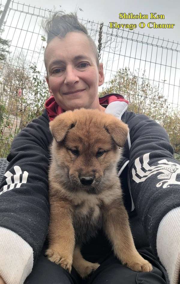 Chiot Shikoku O chanur